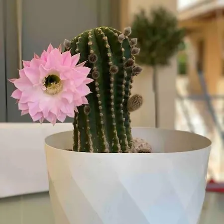 Luxury Cozy In The Center Apartamento