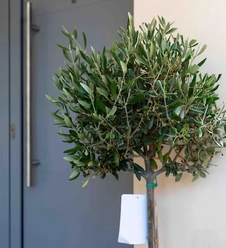 Luxury Cozy In The Center