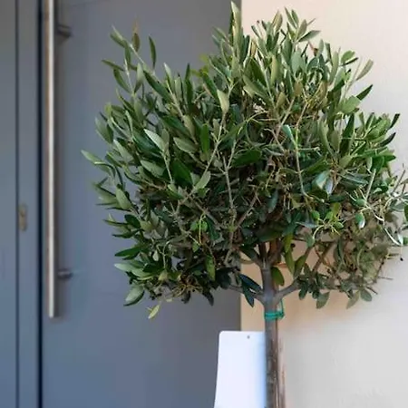 Luxury Cozy In The Center