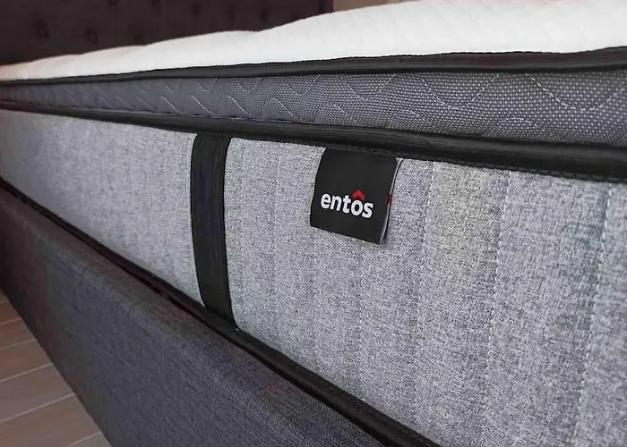 Luxury Cozy In The Center